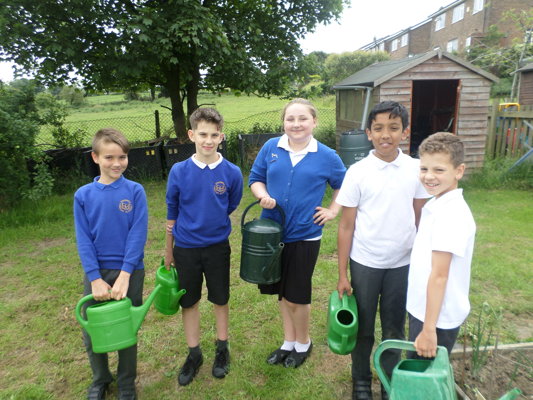 Image of Year 6 Green fingers!